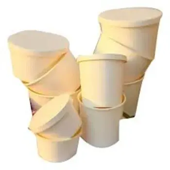 Paper Food Container