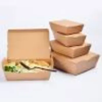 FutureBox Private Limited Paper Food Container