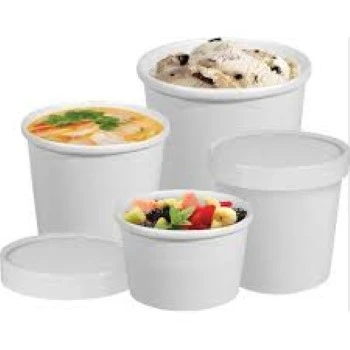 Modern Paper Food Container
