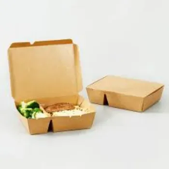 Sustainable Paper Food Container