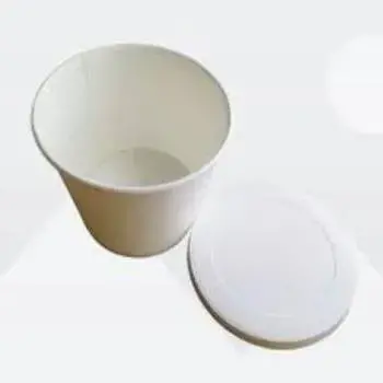 Multicolor Paper Food Container