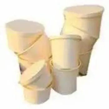 Paper Food Container