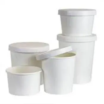Eco-Friendly  Paper Food Container