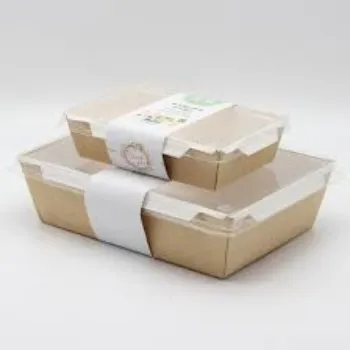Disposable Paper Food Container