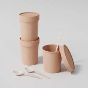Paper Food Container
