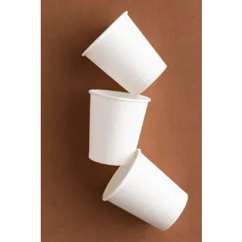 plan white Paper Glasses