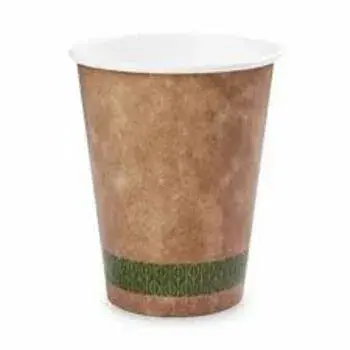 Double Layer Paper Glasses