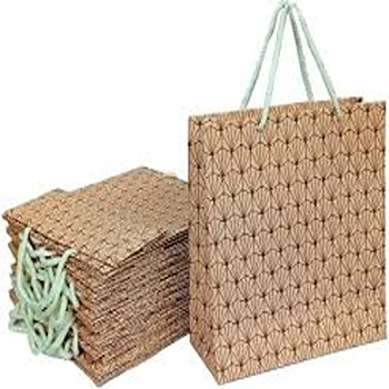 Classy Print Paper Bag for Shopping