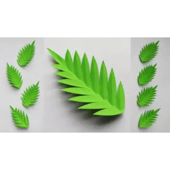 RAJESWARI NURSERY Paper Leaf