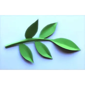  Paper Leaf