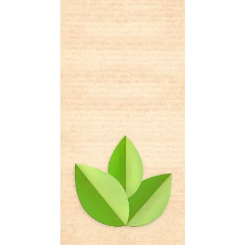 Colorfull Paper Leaf