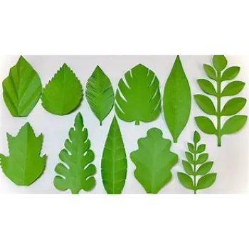  Paper Leaf