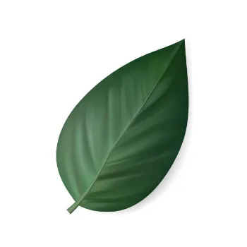 Paper Leaf