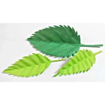 Paper Leaf