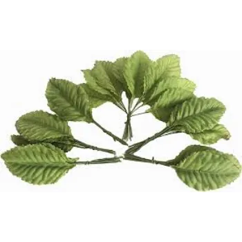 Fancy  Paper Leaf