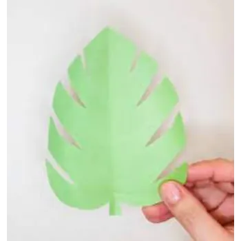 Paper Leaf