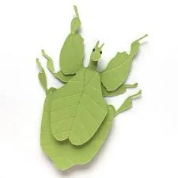 Paper Leaf