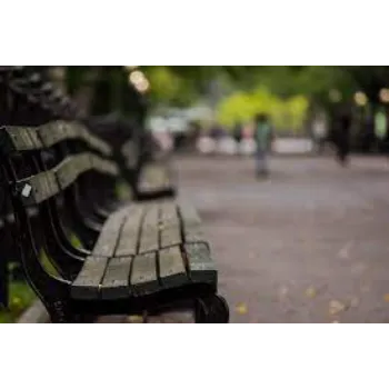 Accurate Dimension Park Bench