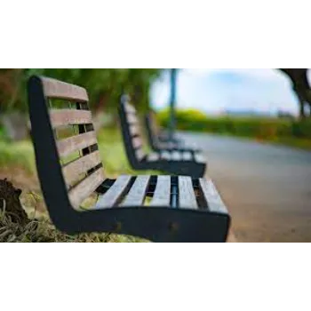 Polished Park Bench