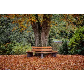 Park Bench