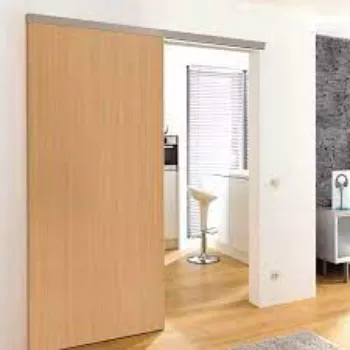 Rohit Partition Door