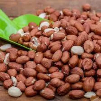 Groundnut Kernels