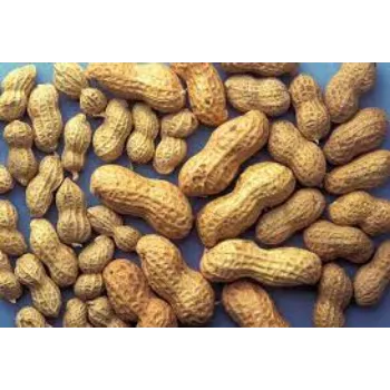 Organic Peanuts