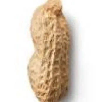 Natural Peanuts