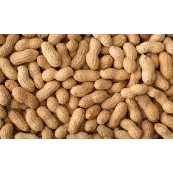Organic Peanuts