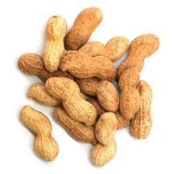 Organic Peanuts