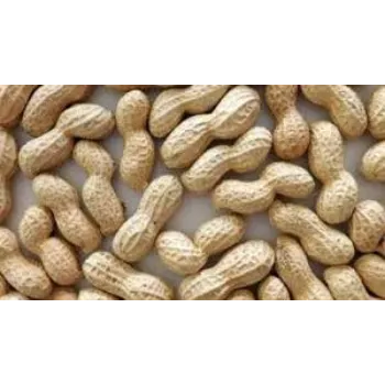 Organic Peanuts
