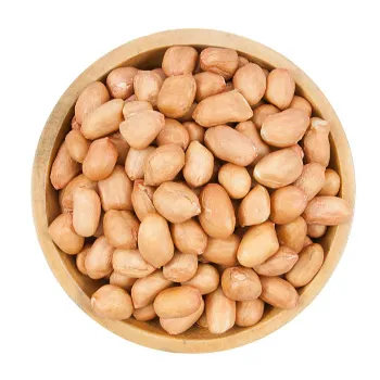  Fresh  Peanuts