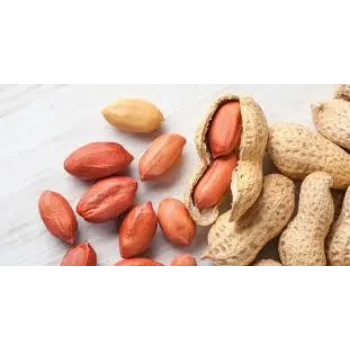 Natural Shelled Peanuts