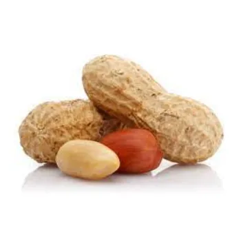 Organic Shelled Peanuts