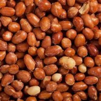  Peanuts