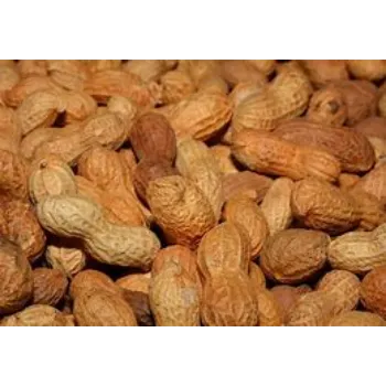 Peanuts