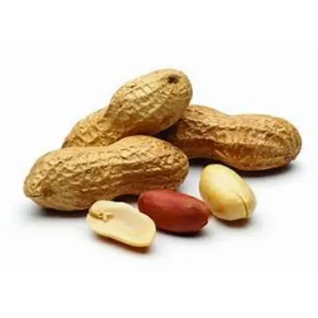 Peanuts