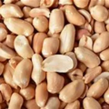Common Peanuts