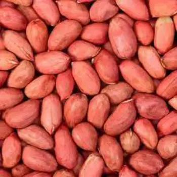 Common Peanuts