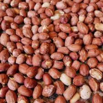 Organic Peanuts