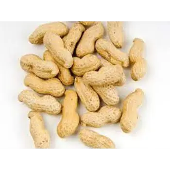Common Peanuts