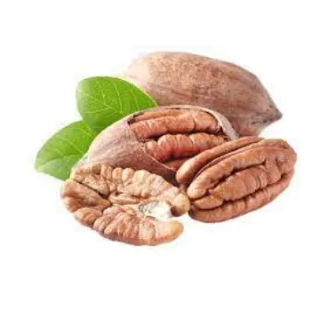 Natural Pecan Nuts