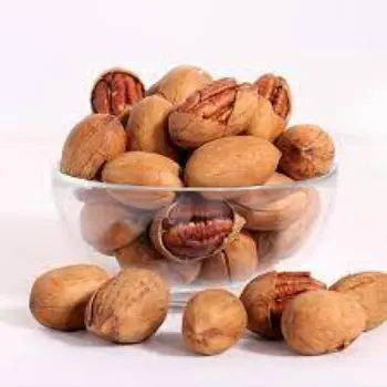 Common Pecan Nuts