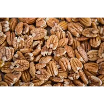 Common Pecan Nuts