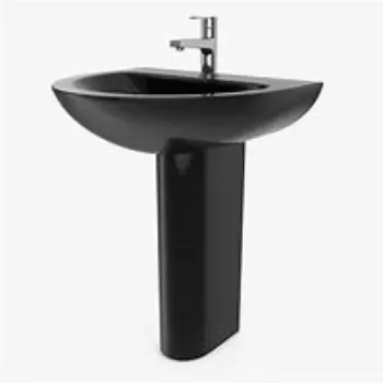 Polished Pedestal Wash Basin