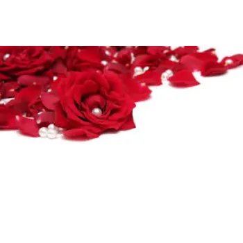 Rose Petal