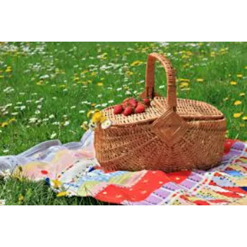 Volo Global Picnic Basket