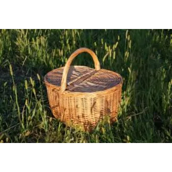 Viren Enterprises Picnic Basket
