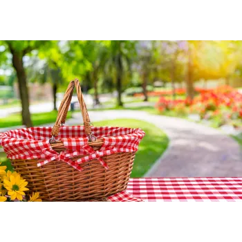Solid Picnic Basket  