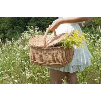 Picnic Basket Brown Color